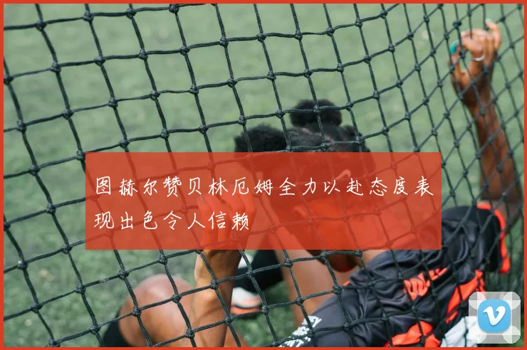 图赫尔赞贝林厄姆全力以赴态度表现出色令人信赖